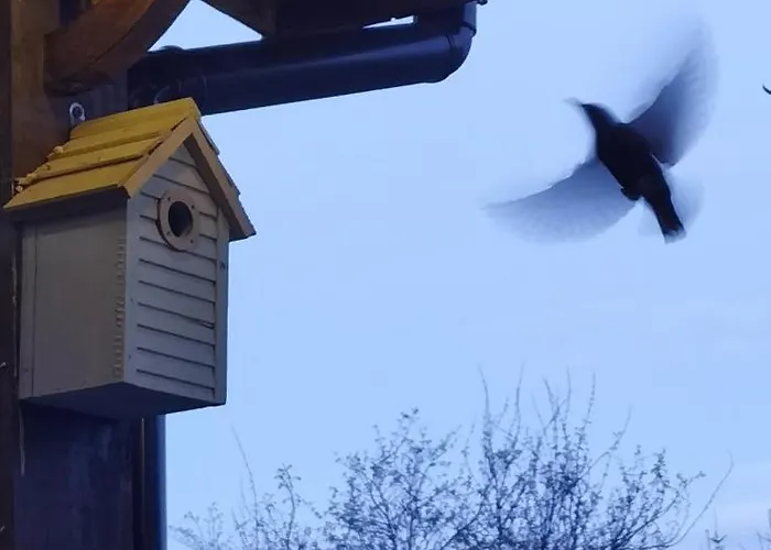 Retreat Holiday home *